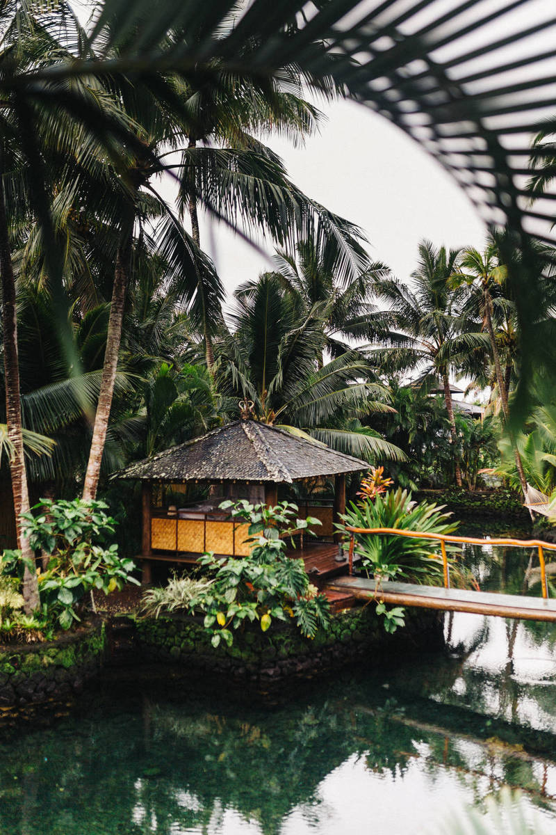 Twitter Expands Access to its Experimental Status Feature